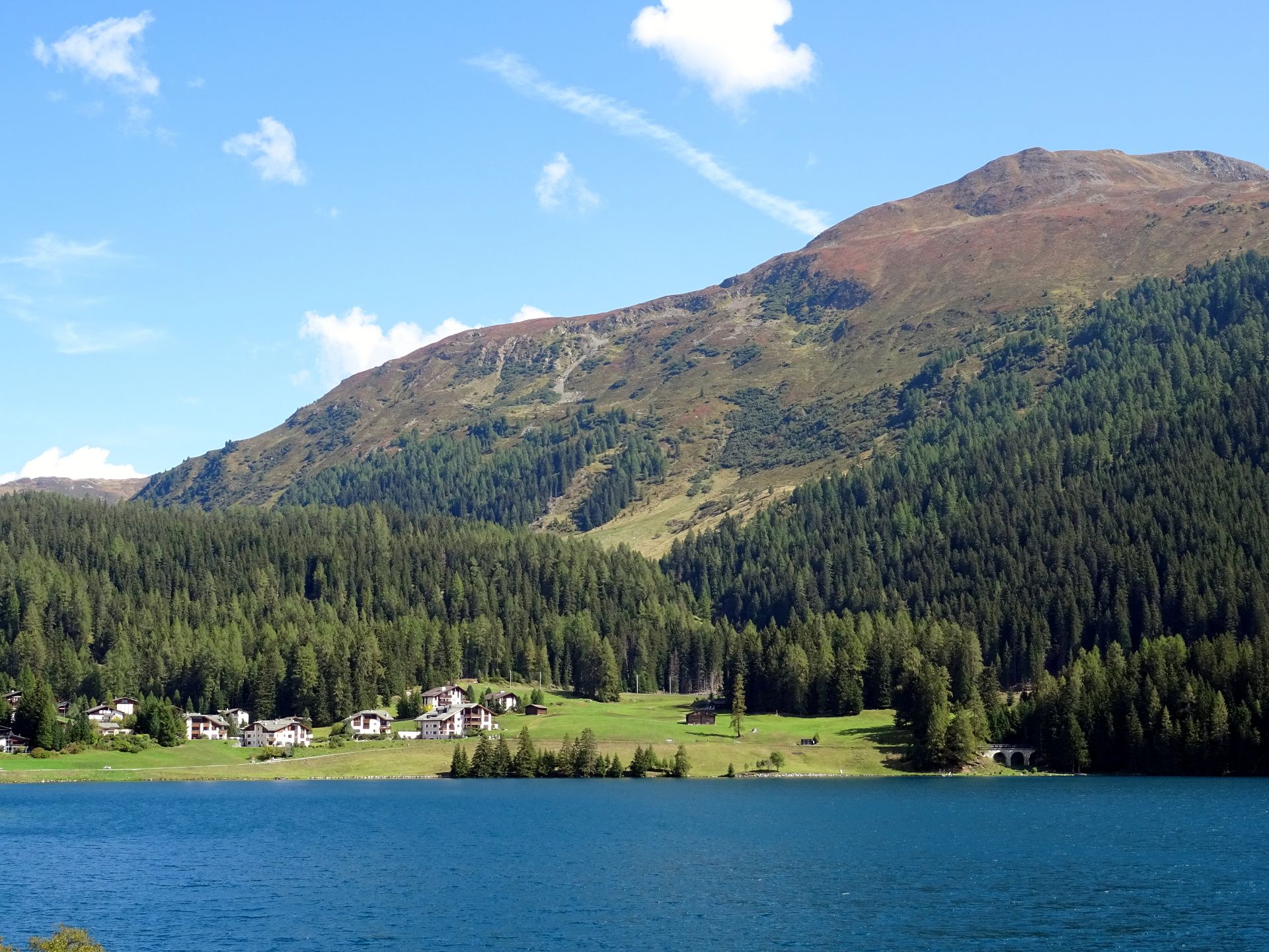 Davos